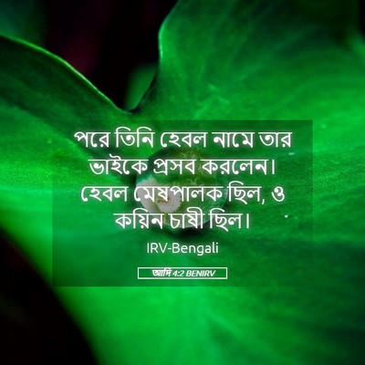 Picture 05 - আদি 4:2 BENIRV - পরে তিনি হেবল নামে - Bible Verse Picture