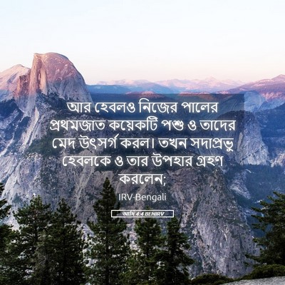Picture 05 - আদি 4:4 BENIRV - আর হেবলও নিজের - Bible Verse Picture