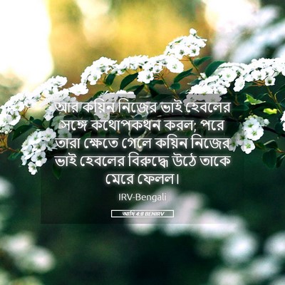 Picture 05 - আদি 4:8 BENIRV - আর কয়িন নিজের ভাই - Bible Verse Picture