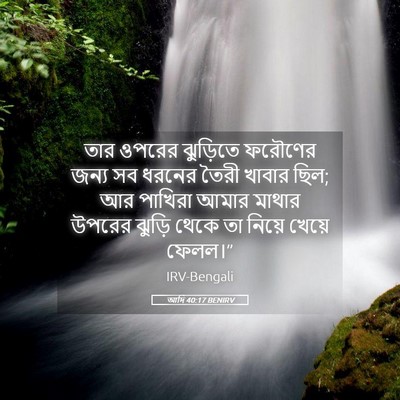 Picture 05 - আদি 40:17 BENIRV - তার ওপরের ঝুড়িতে - Bible Verse Picture