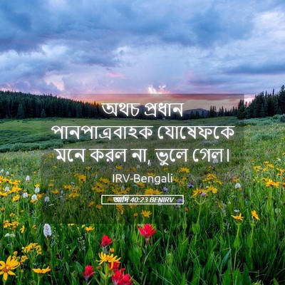 Picture 05 - আদি 40:23 BENIRV - অথচ প্রধান - Bible Verse Picture