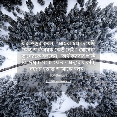 Picture 05 - আদি 40:8 BENIRV - তারা উত্তর করল, - Bible Verse Picture