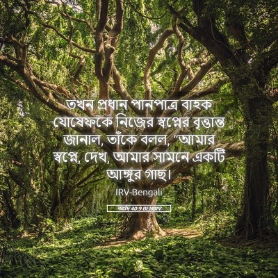 Picture 05 - আদি 40:9 BENIRV - তখন প্রধান - Bible Verse Picture
