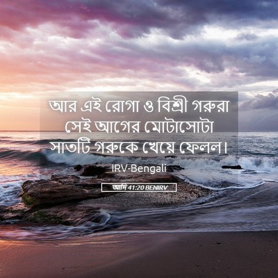 Picture 05 - আদি 41:20 BENIRV - আর এই রোগা ও বিশ্রী - Bible Verse Picture