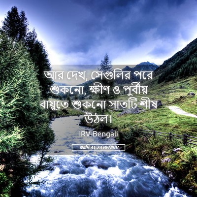 Picture 05 - আদি 41:23 BENIRV - আর দেখ, সেগুলির পরে - Bible Verse Picture