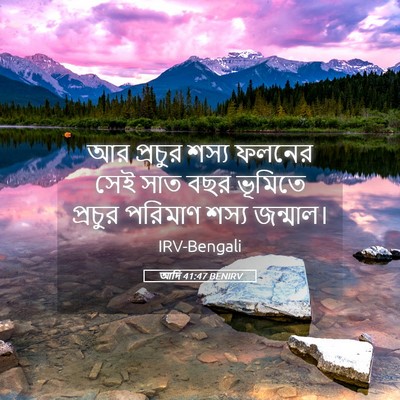 Picture 05 - আদি 41:47 BENIRV - আর প্রচুর শস্য - Bible Verse Picture