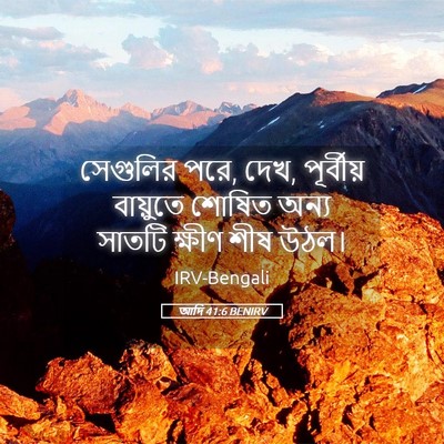 Picture 05 - আদি 41:6 BENIRV - সেগুলির পরে, দেখ, - Bible Verse Picture