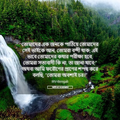 Picture 05 - আদি 42:16 BENIRV - তোমাদের এক জনকে - Bible Verse Picture