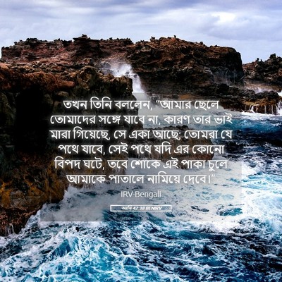 Picture 05 - আদি 42:38 BENIRV - তখন তিনি বললেন, - Bible Verse Picture