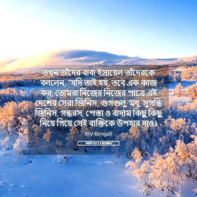 Picture 05 - আদি 43:11 BENIRV - তখন তাঁদের বাবা - Bible Verse Picture
