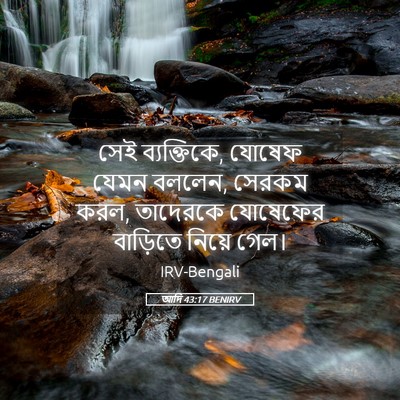 Picture 05 - আদি 43:17 BENIRV - সেই ব্যক্তিকে, - Bible Verse Picture