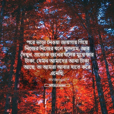 Picture 05 - আদি 43:21 BENIRV - পরে ভাড়া নেওয়া - Bible Verse Picture