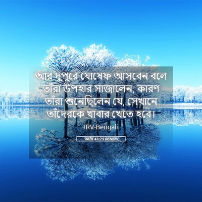 Picture 05 - আদি 43:25 BENIRV - আর দুপুরে যোষেফ - Bible Verse Picture