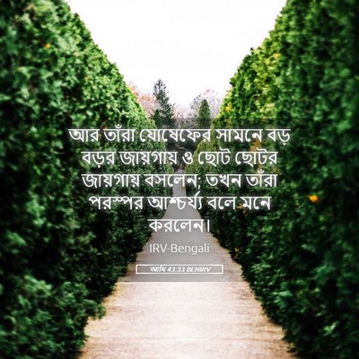 Picture 05 - আদি 43:33 BENIRV - আর তাঁরা যোষেফের - Bible Verse Picture