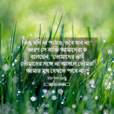 Picture 05 - আদি 43:5 BENIRV - কিন্তু যদি না - Bible Verse Picture
