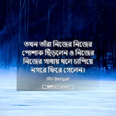 Picture 05 - আদি 44:13 BENIRV - তখন তাঁরা নিজের - Bible Verse Picture