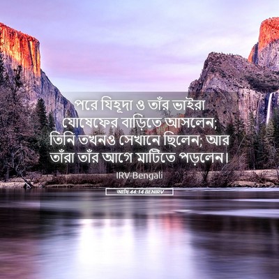 Picture 05 - আদি 44:14 BENIRV - পরে যিহূদা ও তাঁর - Bible Verse Picture