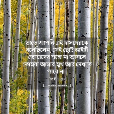 Picture 05 - আদি 44:23 BENIRV - তাতে আপনি এই - Bible Verse Picture