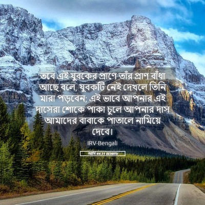 Picture 05 - আদি 44:31 BENIRV - তবে এই যুবকের - Bible Verse Picture