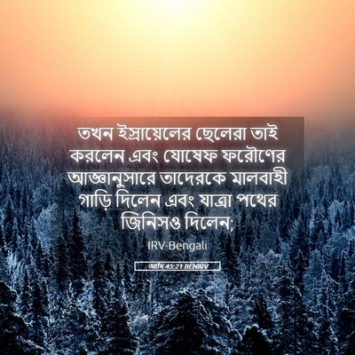 Picture 05 - আদি 45:21 BENIRV - তখন ইস্রায়েলের - Bible Verse Picture