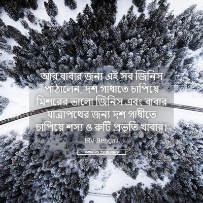 Picture 05 - আদি 45:23 BENIRV - আর বাবার জন্য এই সব - Bible Verse Picture
