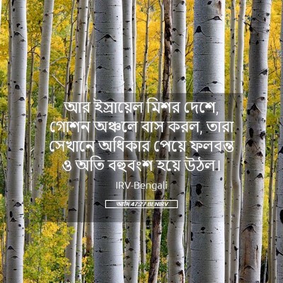 Picture 05 - আদি 47:27 BENIRV - আর ইস্রায়েল মিশর - Bible Verse Picture