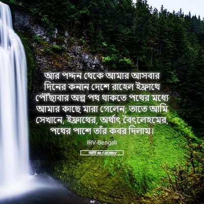 Picture 05 - আদি 48:7 BENIRV - আর পদ্দন থেকে আমার - Bible Verse Picture