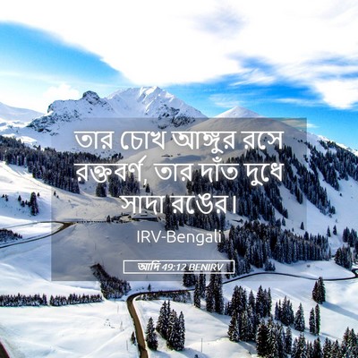 Picture 05 - আদি 49:12 BENIRV - তার চোখ আঙ্গুর রসে - Bible Verse Picture