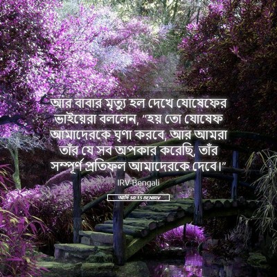 Picture 05 - আদি 50:15 BENIRV - আর বাবার মৃত্যু হল - Bible Verse Picture