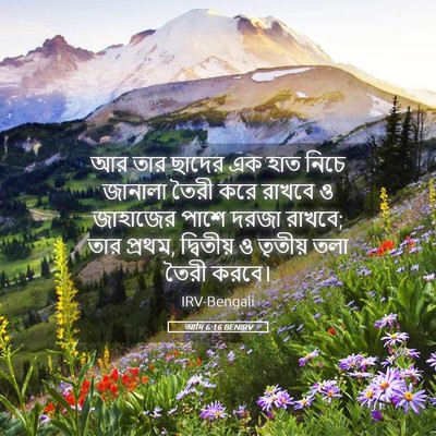Picture 05 - আদি 6:16 BENIRV - আর তার ছাদের এক হাত - Bible Verse Picture