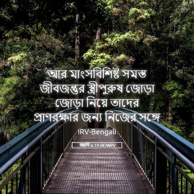 Picture 05 - আদি 6:19 BENIRV - আর মাংসবিশিষ্ট - Bible Verse Picture