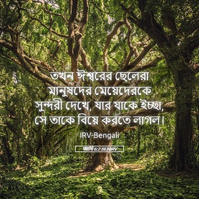 Picture 05 - আদি 6:2 BENIRV - তখন ঈশ্বরের - Bible Verse Picture
