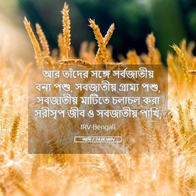 Picture 05 - আদি 7:14 BENIRV - আর তাঁদের সঙ্গে - Bible Verse Picture