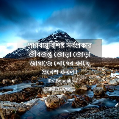 Picture 05 - আদি 7:15 BENIRV -  - Bible Verse Picture
