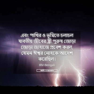 Picture 05 - আদি 7:9 BENIRV - এবং পাখির ও ভূমিতে - Bible Verse Picture