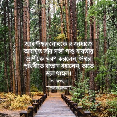Picture 05 - আদি 8:1 BENIRV - আর ঈশ্বর নোহকে ও - Bible Verse Picture