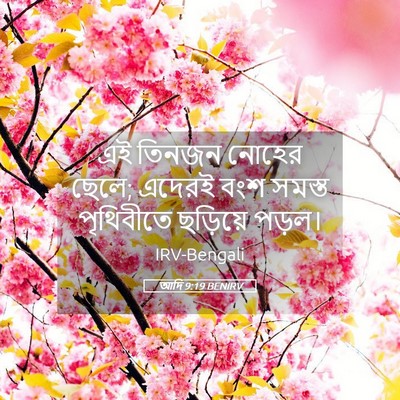 Picture 05 - আদি 9:19 BENIRV - এই তিনজন নোহের - Bible Verse Picture