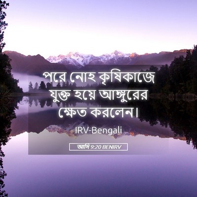 Picture 05 - আদি 9:20 BENIRV - পরে নোহ কৃষিকাজে - Bible Verse Picture