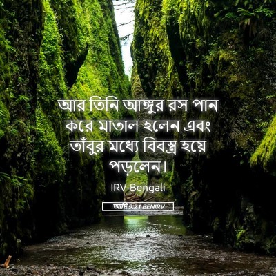 Picture 05 - আদি 9:21 BENIRV - আর তিনি আঙ্গুর রস - Bible Verse Picture