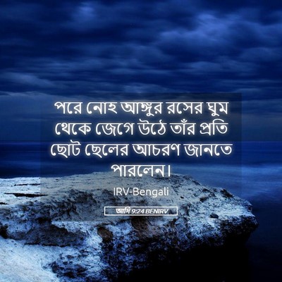 Picture 05 - আদি 9:24 BENIRV - পরে নোহ আঙ্গুর - Bible Verse Picture