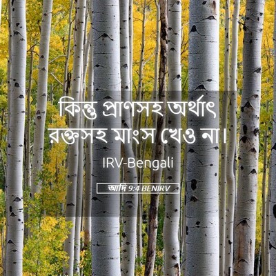Picture 05 - আদি 9:4 BENIRV - কিন্তু প্রাণসহ - Bible Verse Picture