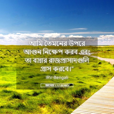 Picture 05 - আমোচ 1:12 BENIRV - আমি তৈমনের উপরে - Bible Verse Picture