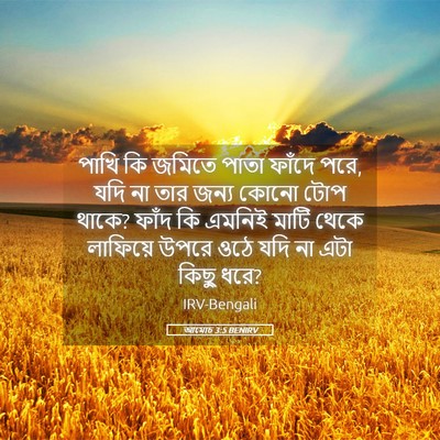 Picture 05 - আমোচ 3:5 BENIRV - পাখি কি জমিতে পাতা - Bible Verse Picture