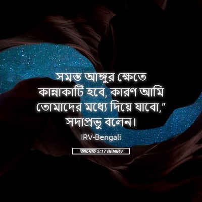 Picture 05 - আমোচ 5:17 BENIRV - সমস্ত আঙ্গুর - Bible Verse Picture