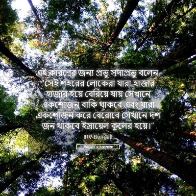 Picture 05 - আমোচ 5:3 BENIRV - এই কারণের জন্য - Bible Verse Picture