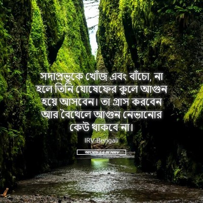 Picture 05 - আমোচ 5:6 BENIRV - সদাপ্রভুকে খোঁজ - Bible Verse Picture