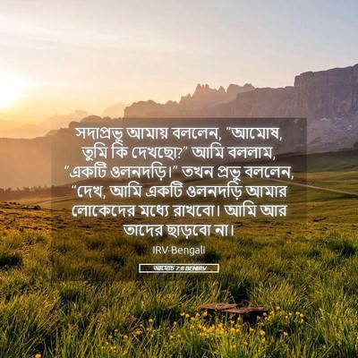 Picture 05 - আমোচ 7:8 BENIRV - সদাপ্রভু আমায় - Bible Verse Picture