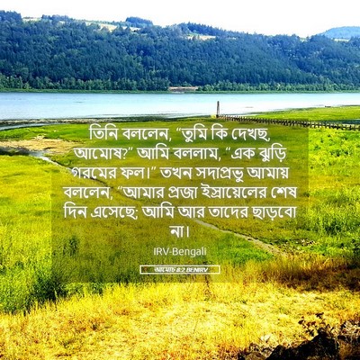Picture 05 - আমোচ 8:2 BENIRV - তিনি বললেন, “তুমি - Bible Verse Picture