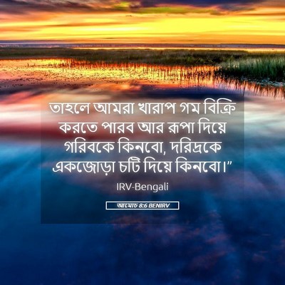 Picture 05 - আমোচ 8:6 BENIRV - তাহলে আমরা খারাপ - Bible Verse Picture