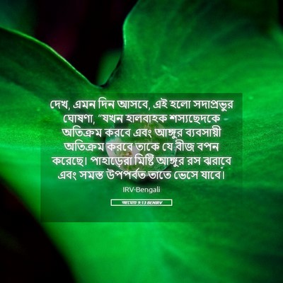 Picture 05 - আমোচ 9:13 BENIRV - দেখ, এমন দিন আসবে, - Bible Verse Picture
